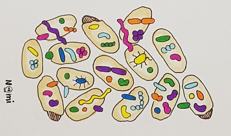 BacterialWorld - a blog about bacteria. Created by Sarah Wettstadt