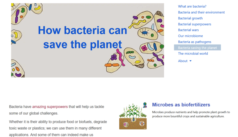 Screenshot of the science communication website BacterialWorld that I created together with its life science content marketing strategy.